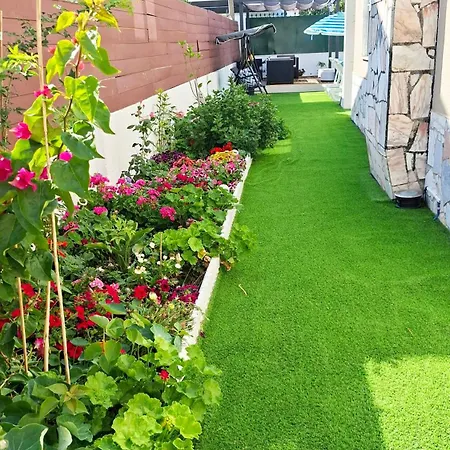 Sunset Da Telha * Aroeira (Setubal)