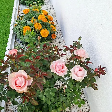 Sunset Da Telha Maison d'hôtes