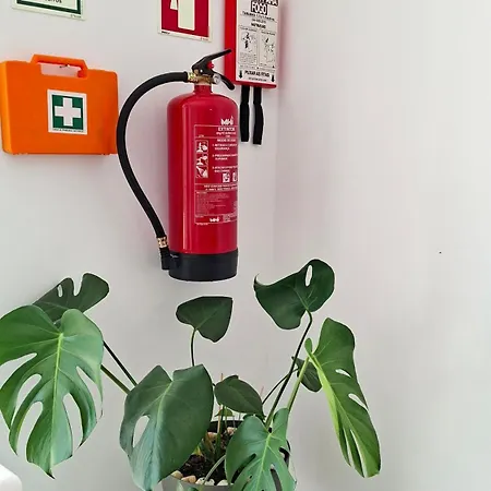 Sunset Da Telha Maison d'hôtes Aroeira (Setubal)