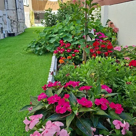 Sunset Da Telha Maison d'hôtes *