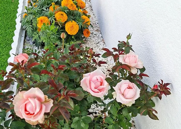 Sunset Da Telha Penzion