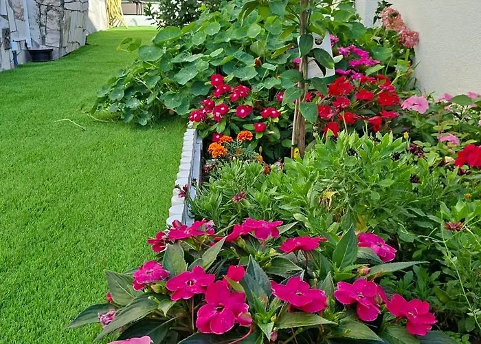 Sunset Da Telha Penzion *